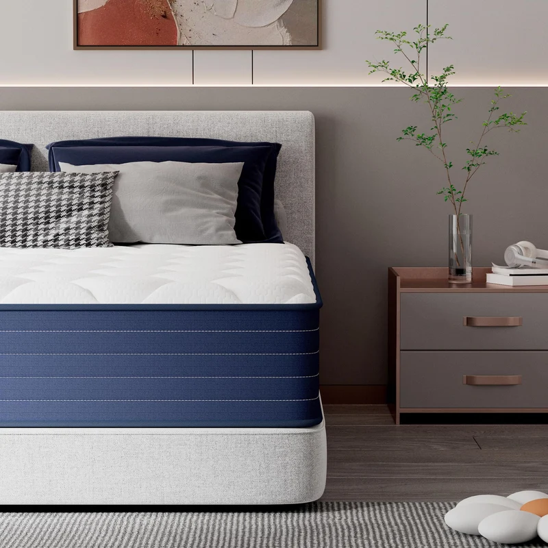 PurrJoys Matratze 160x200 H3 & H4 mit Oeko-TEX Zertifiziert, Höhe 25 cm 7 Zonen Taschenfederkernmatratze mit Memory Foam, Federkernmatratze mit weicher Oberfläche für Erwachsene