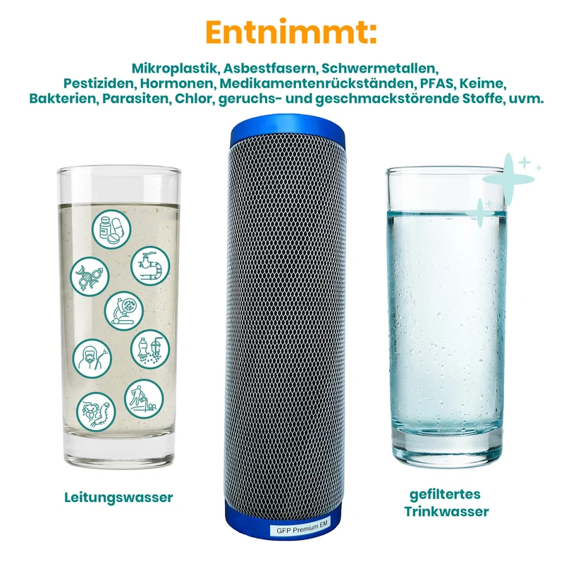 Carbonit GFP EM PREMIUM Filtereinsatz