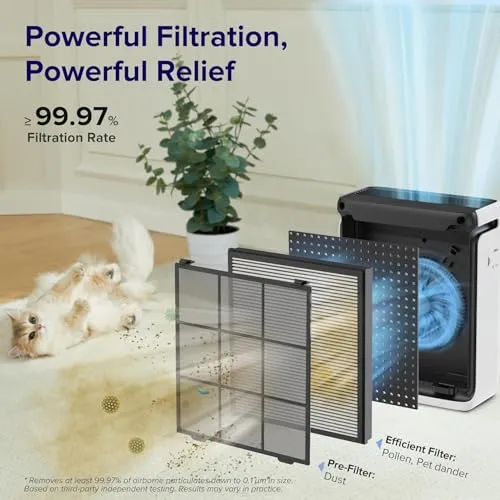 Vital 100S Replacement Filter