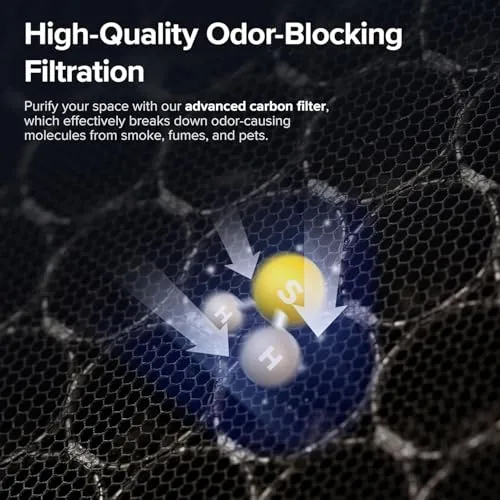 Vital 100S Replacement Filter