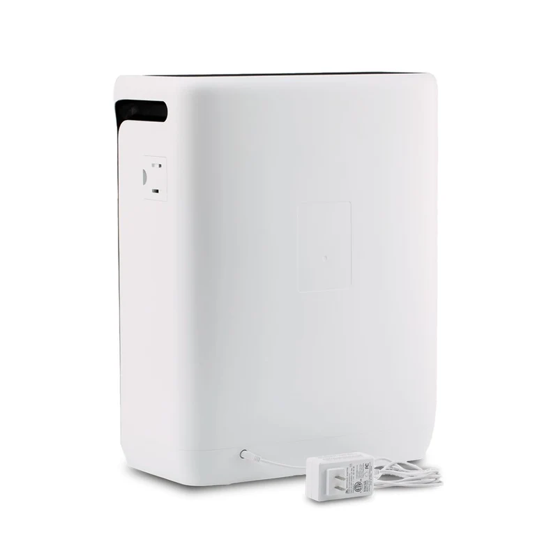 Wildfire Protection Bundle - Vital 200S-P + Toxin Filter
