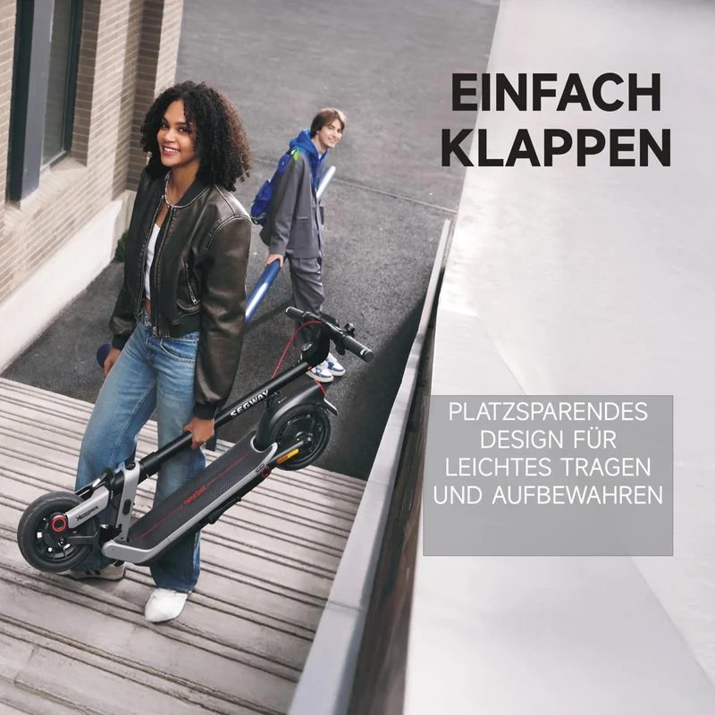 Segway Ninebot E3 Pro D E-Scooter 400W 368Wh Straßenzulassung 20km/h