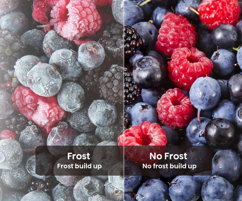 Hisense 205L Top Mount Refrigerator