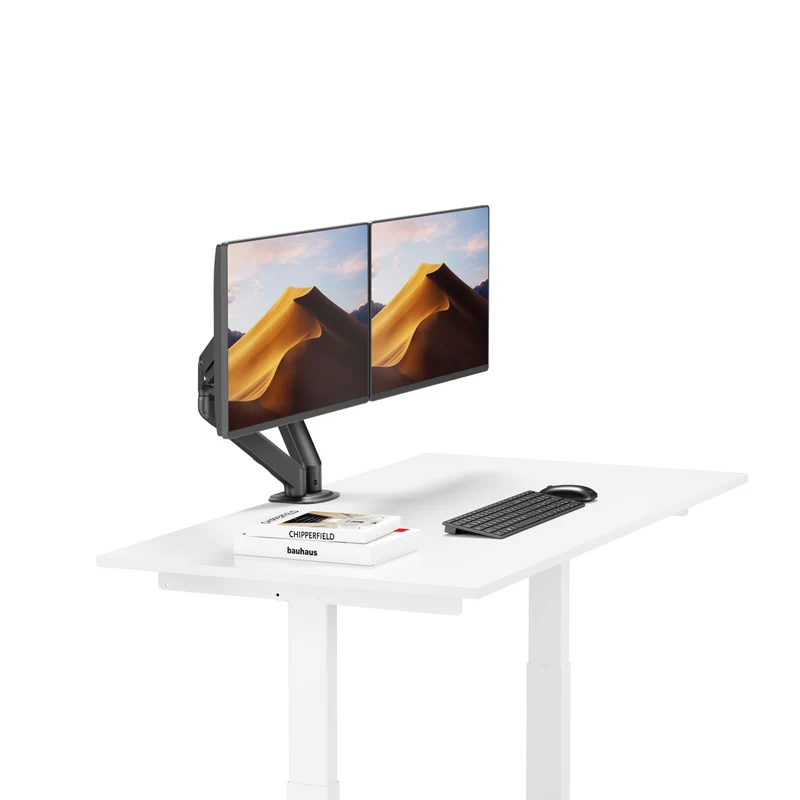 Ergovida Spring Balance Double Monitor Arm