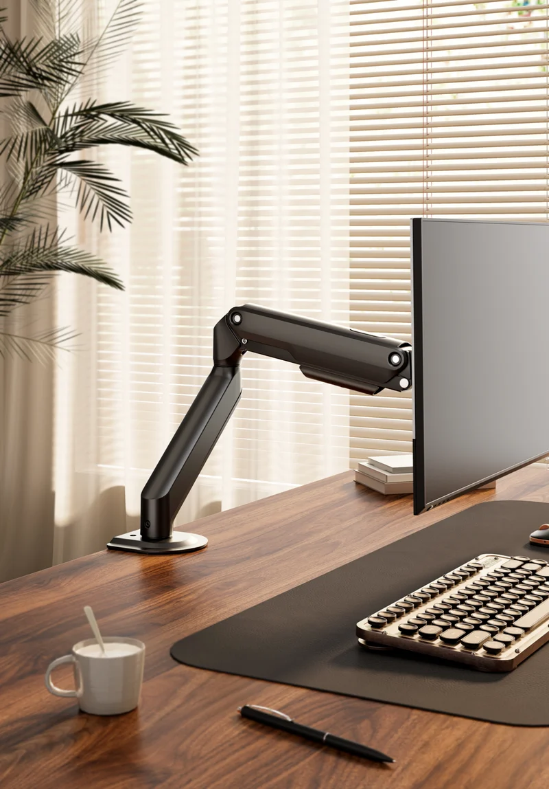 Ergovida Spring Balance Single Monitor Arm