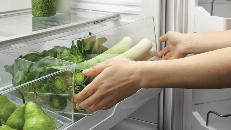 Fisher & Paykel 569L French Door Refrigerator