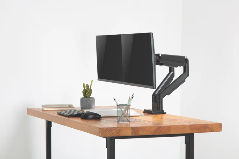Ergovida Black Gas Spring Dual Monitor Arms