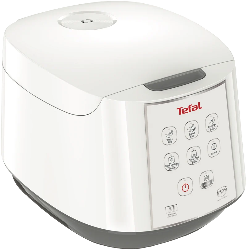 Tefal Easy Rice & Slow Cooker