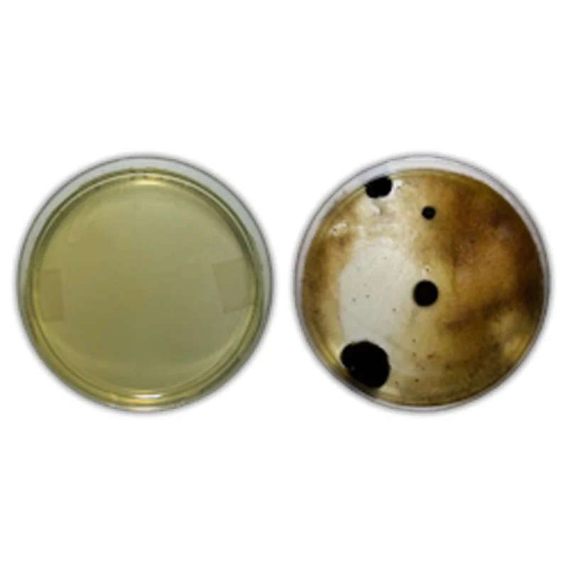 Air quality test kit