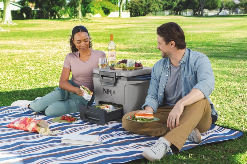 Ninja FrostVault 28L Hard Cooler with Dry Zone - Slate Grey