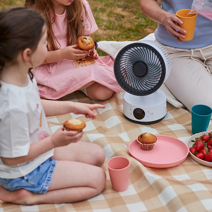 MeacoFan Sefte® 6 Tischventilator
