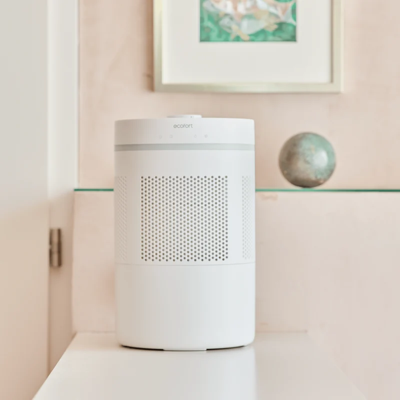 ecoQ HumidAir E300