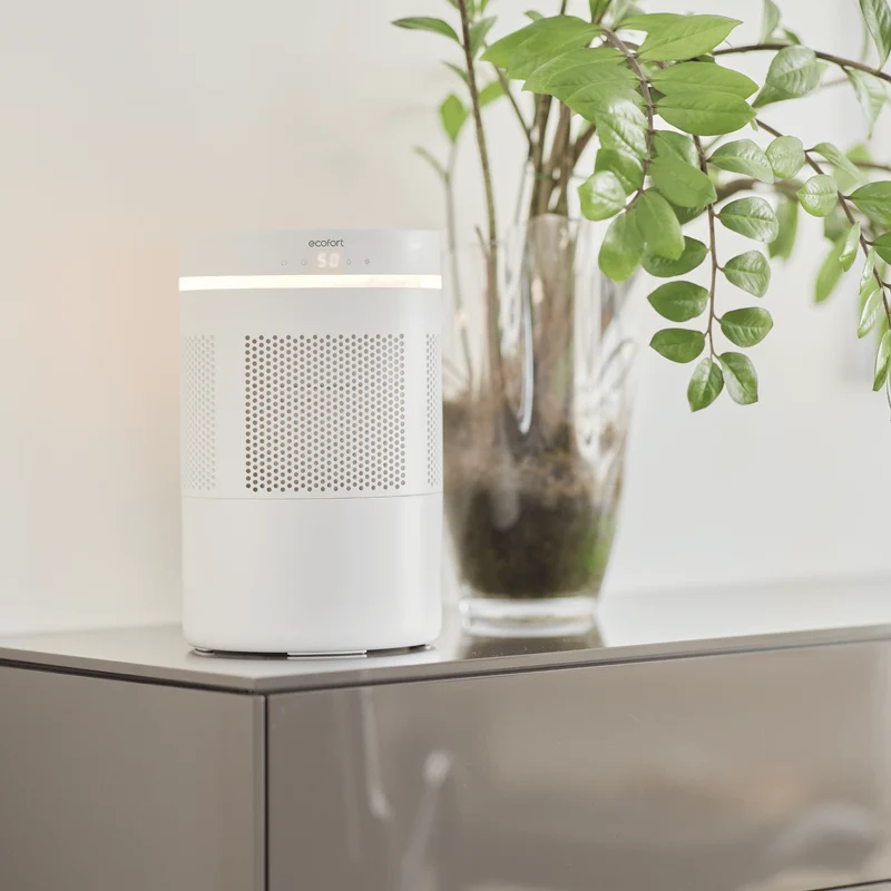 ecoQ HumidAir E300