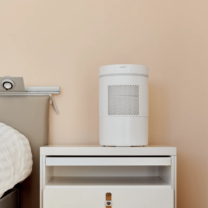 ecoQ HumidAir E300