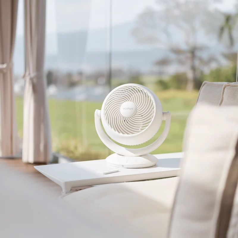 ecoQ SilentAir Pico