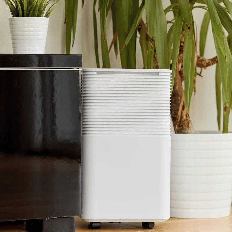 ecoQ DryAir 12L Essential