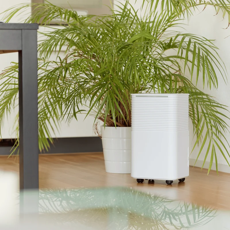 ecoQ DryAir 12L Essential