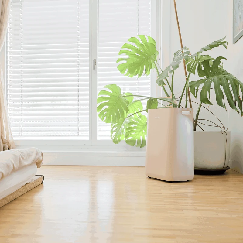 ecoQ DryAir 20L Energy Saver - Warm Sand
