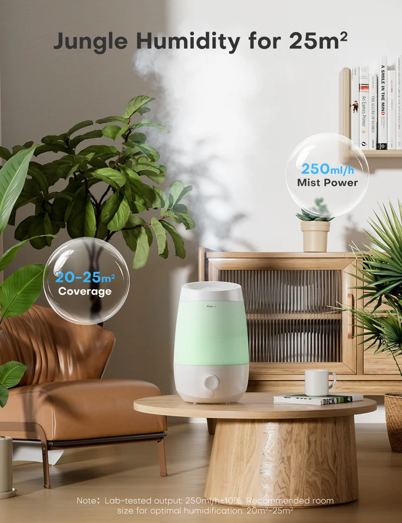 Humidifier | JSD06