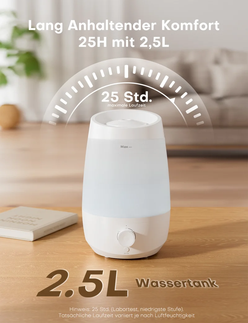 Humidifier | JSD06
