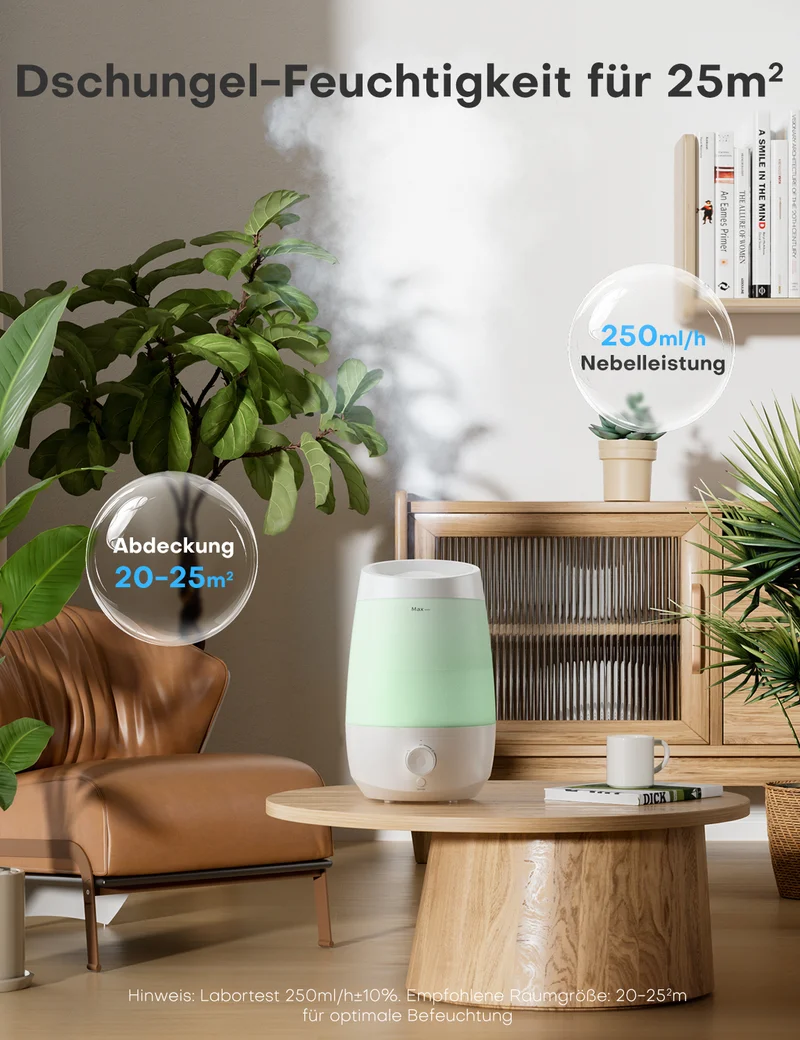 Humidifier | JSD06