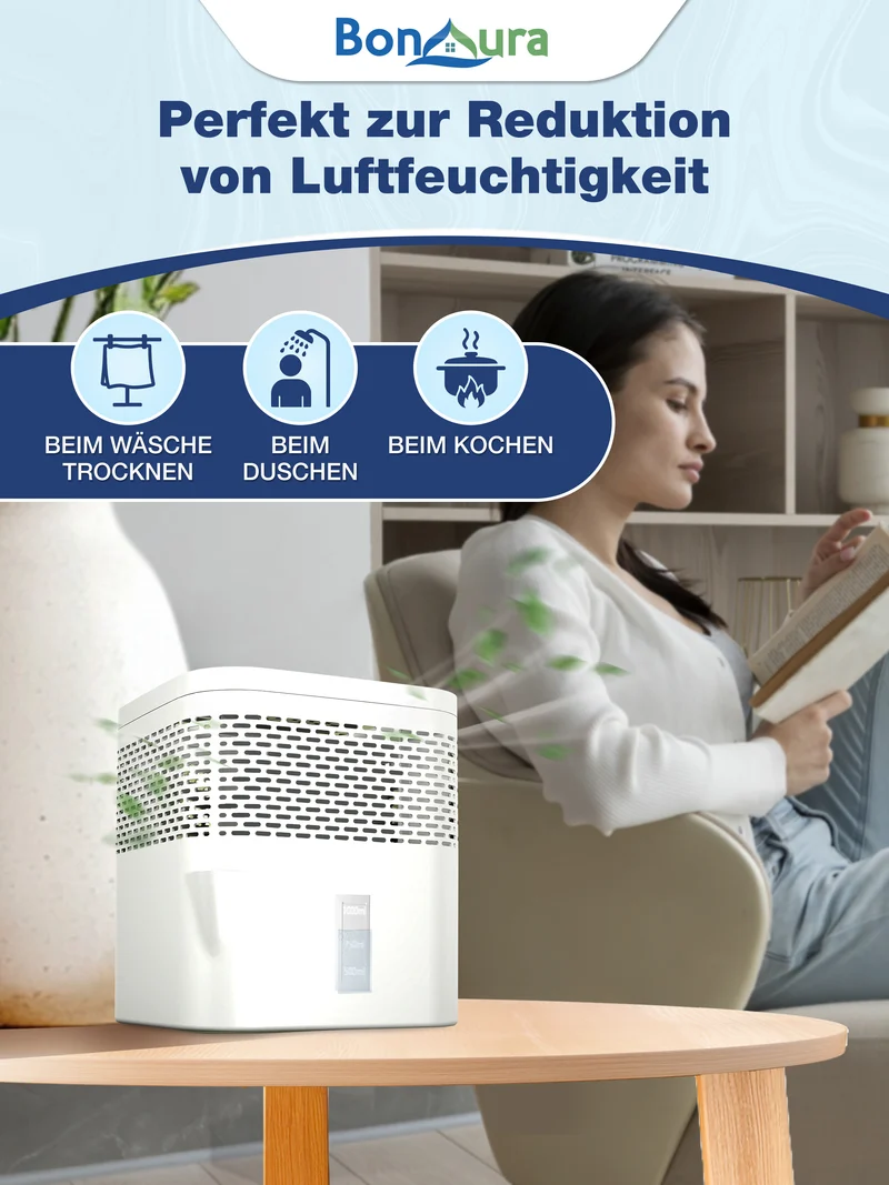 AirOne Lite Luftentfeuchter ohne Strom bis 16m²