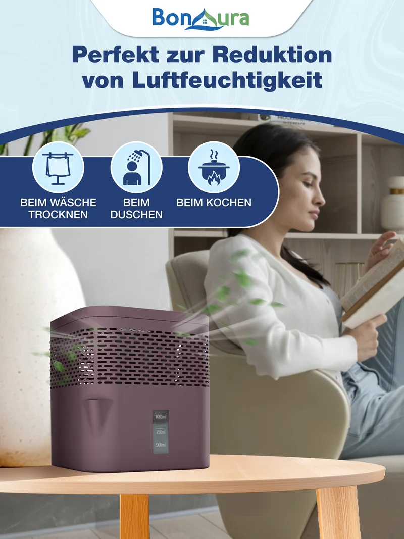 AirOne Lite Luftentfeuchter ohne Strom bis 16m²