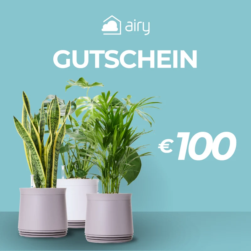 AIRY Geschenkgutschein
