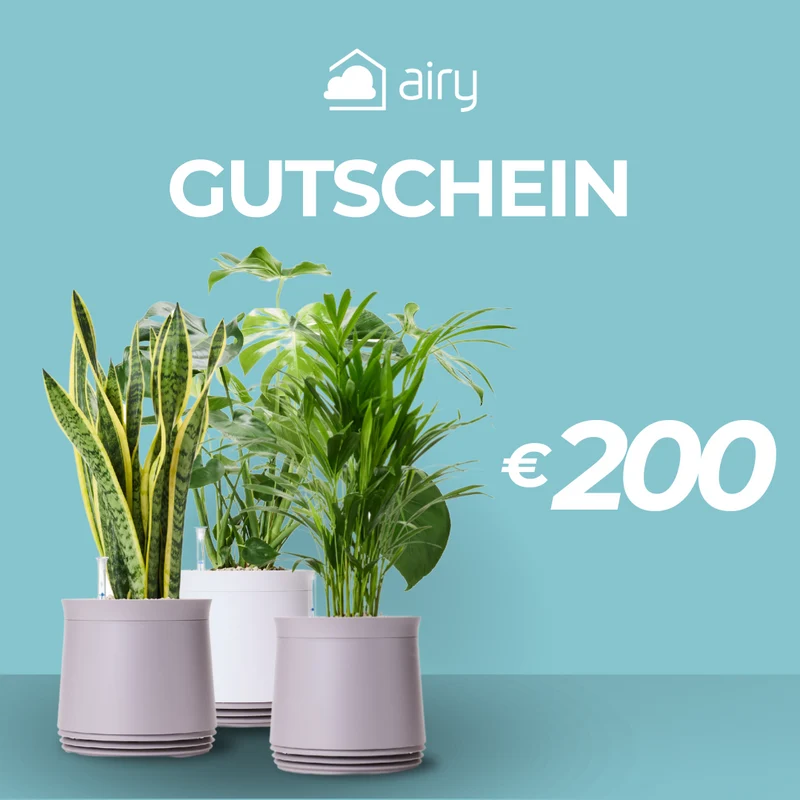 AIRY Geschenkgutschein