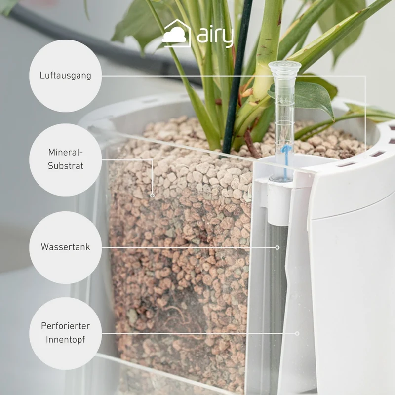 AIRY System M Grünlilie