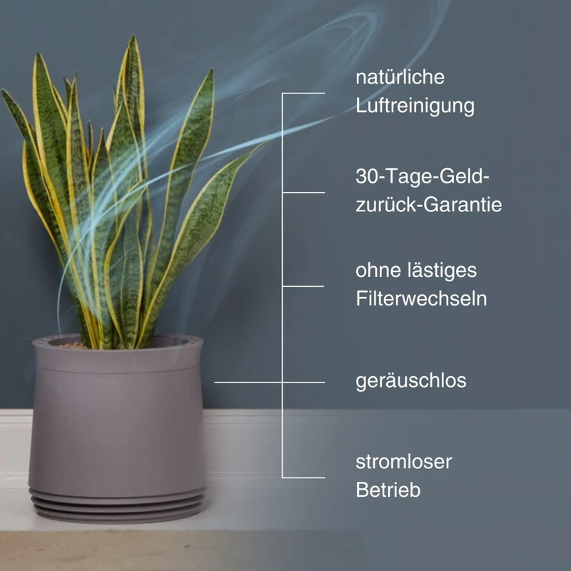 AIRY System M Grünlilie