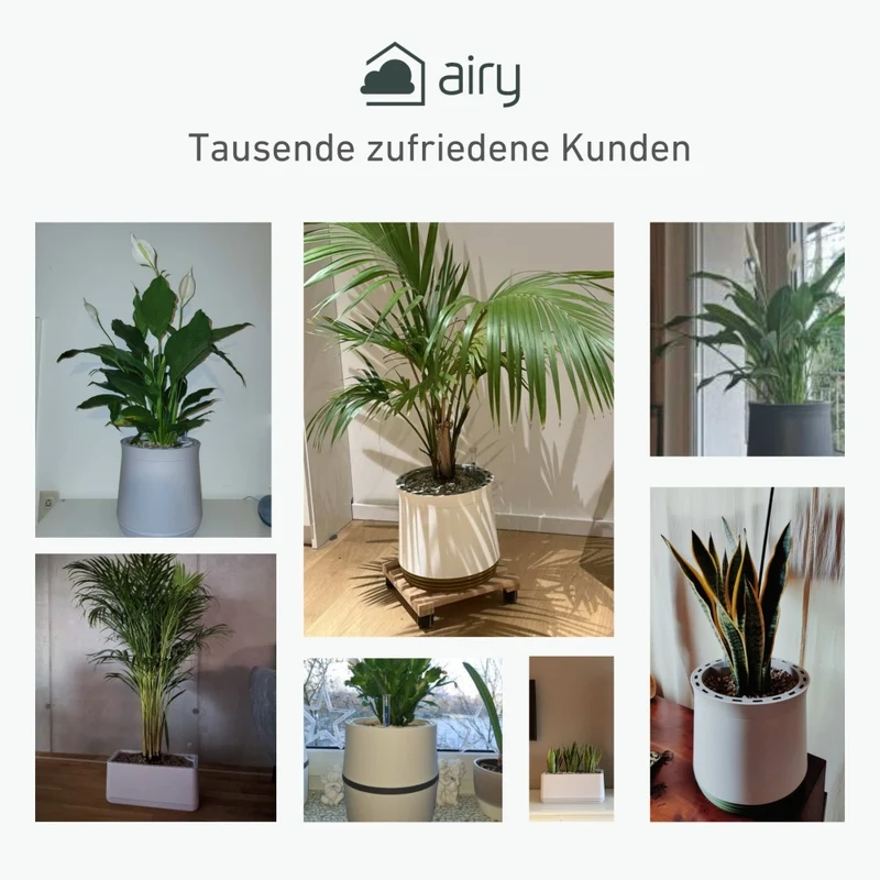 AIRY System M Grünlilie