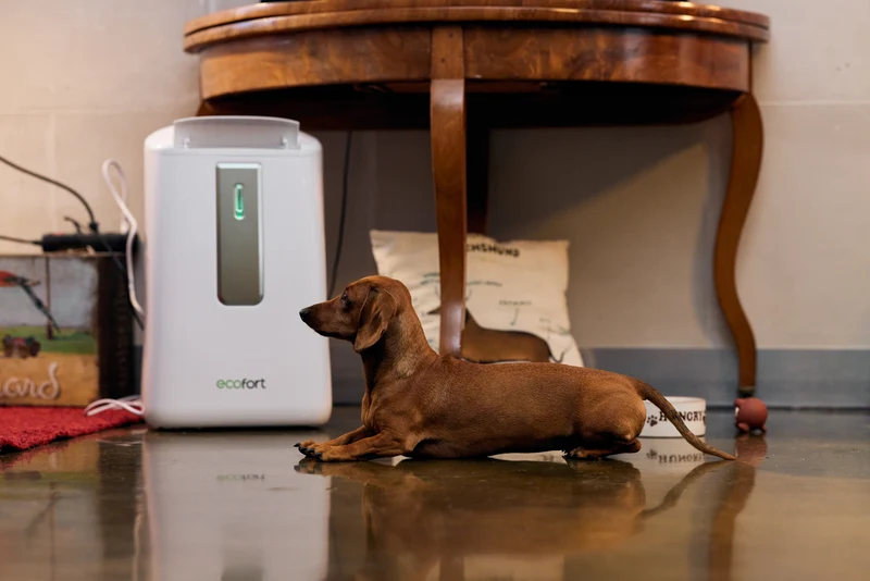 ecoQ DryAir 20L