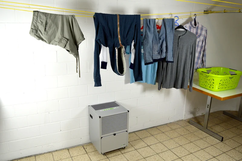 ecodry 625