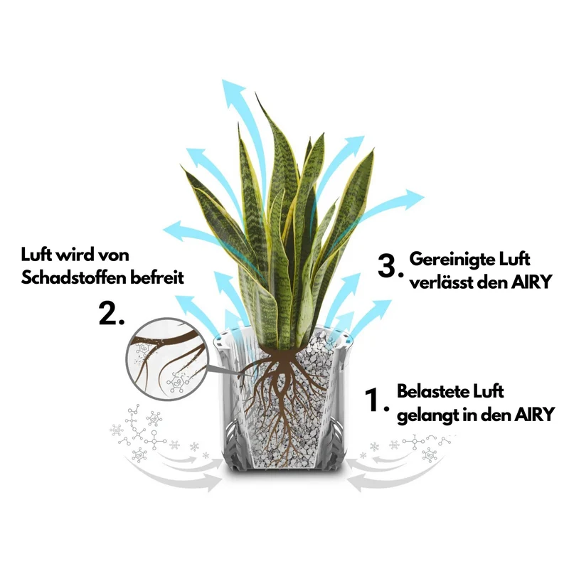 AIRY M inkl. Substrat (grau)