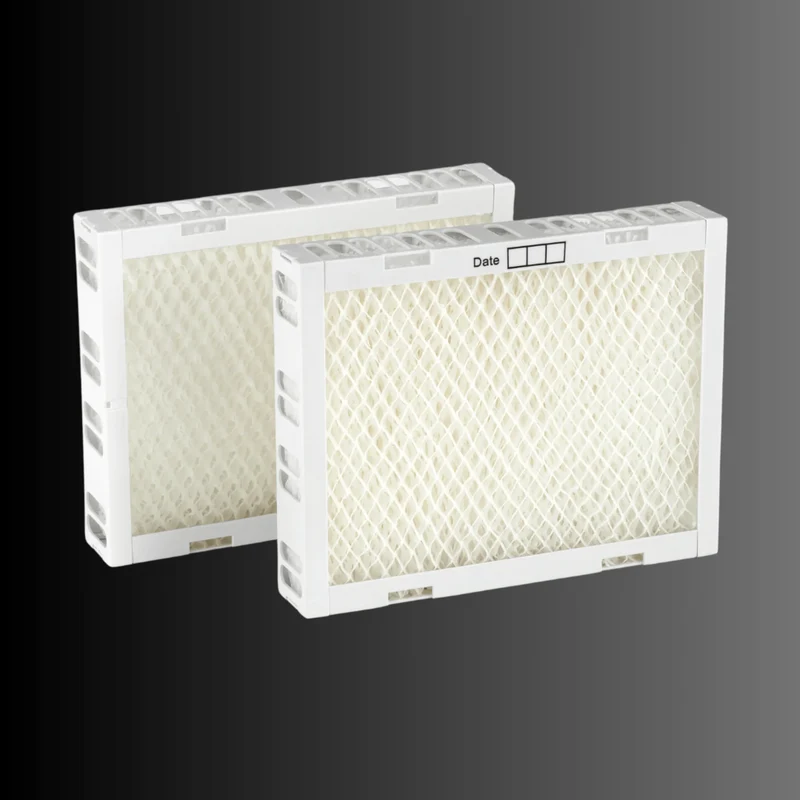 Antibakterielle Filterkassetten (2er-Set)