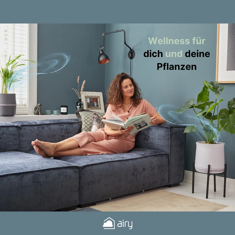 AIRY System M Monstera