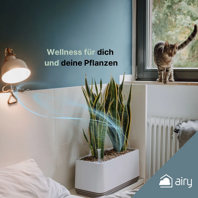 AIRY System L Bogenhanf Laurentii