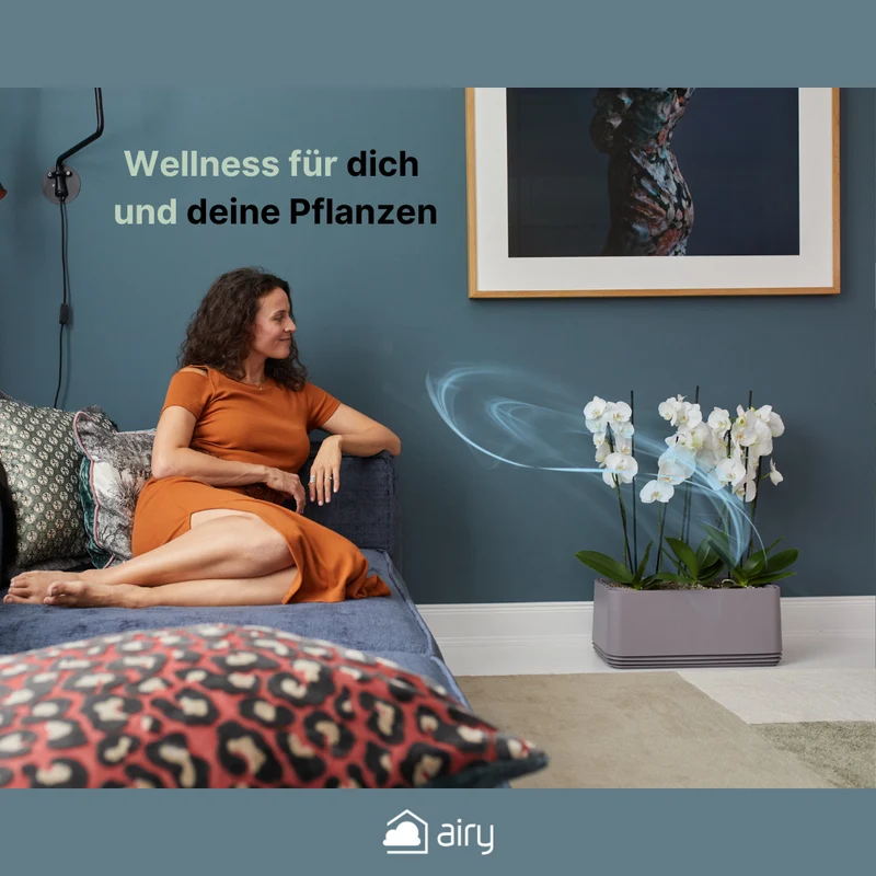 AIRY System L Orchideen