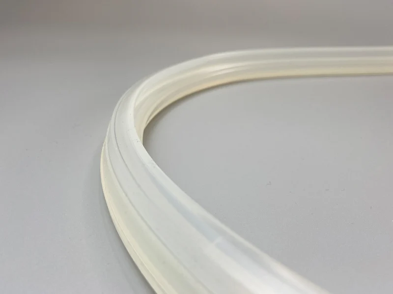 Front Door Seal for P 110