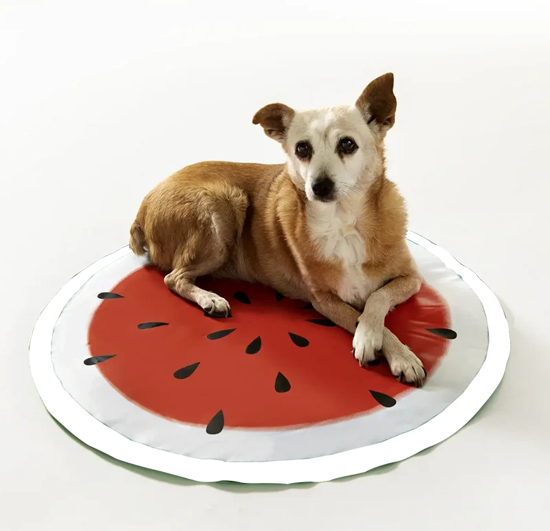 Hunde Kühlmatte Melone – runde Kühlunterlage für heiße Tage