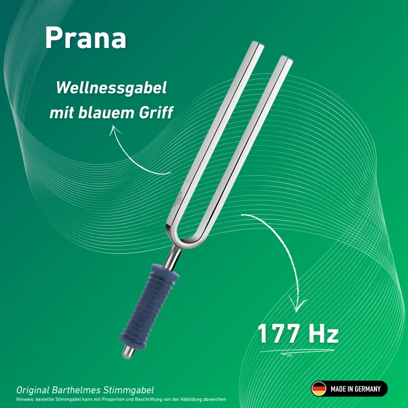 Stimmgabel Prana Wellness mit blauem Griff 177 Hz | Art.-Nr. KO 177/7