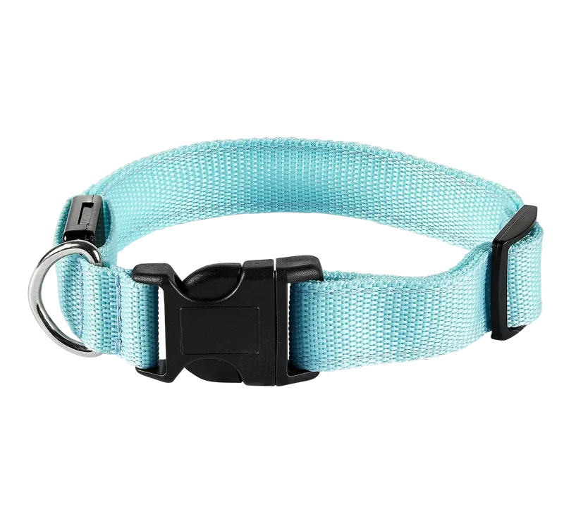 LED Hundehalsband – Leuchtendes Sicherheits-Halsband für Hunde
