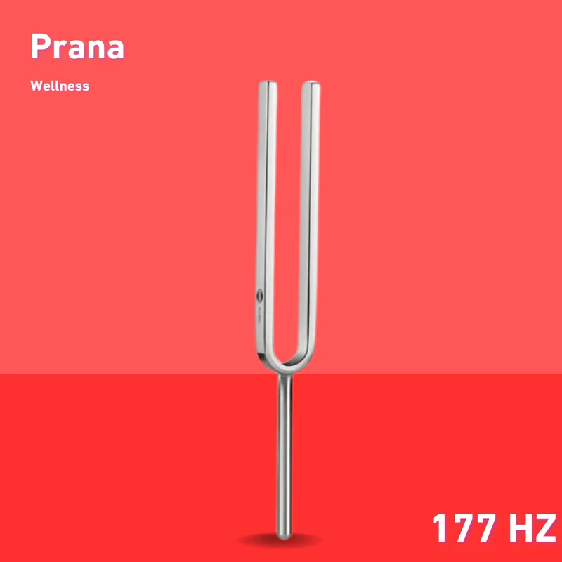 Stimmgabel Prana Wellness 172,86 Hz | Art.-Nr. 220038