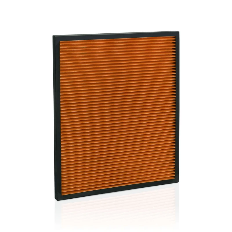 Antibakterieller Filter, PM2.5, für Modell AP100