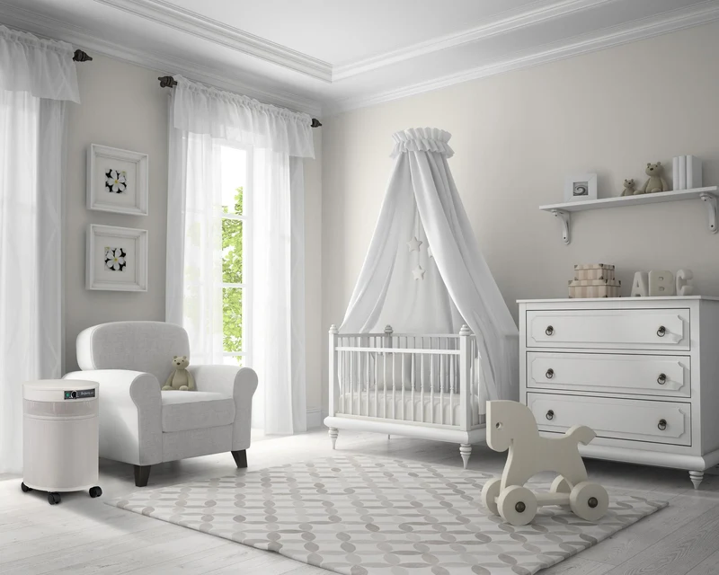 G614- Odor-Free Carbon for Chemically Sensitive (MCS) Air Purifier