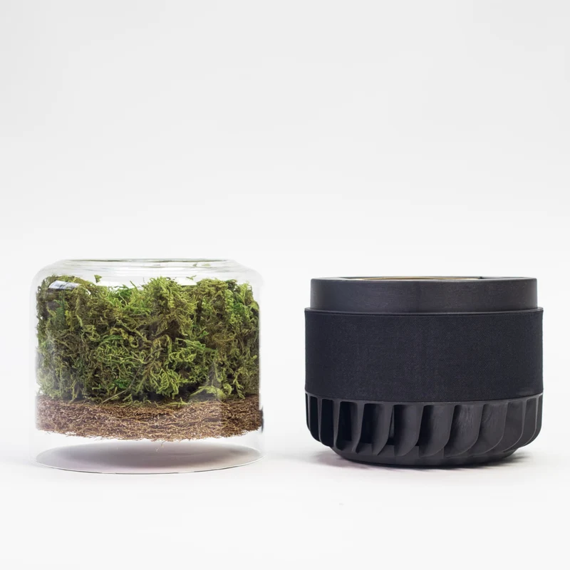 Briiv Yorkshire Moss One Year Replacement Filter Set