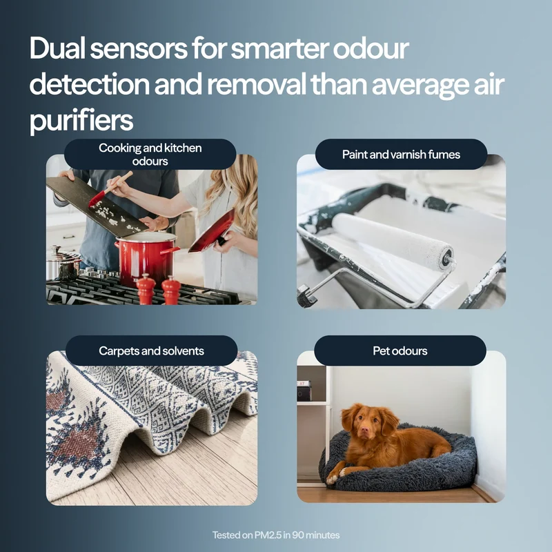 Blueair Blue Signature™ Medium Dark Air Purifier With HEPASilent™ Technology