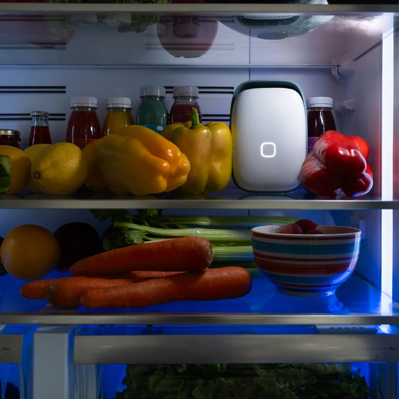 Vitesy Shelfy 2.0 Fridge Air Purifier & Odour Absorber