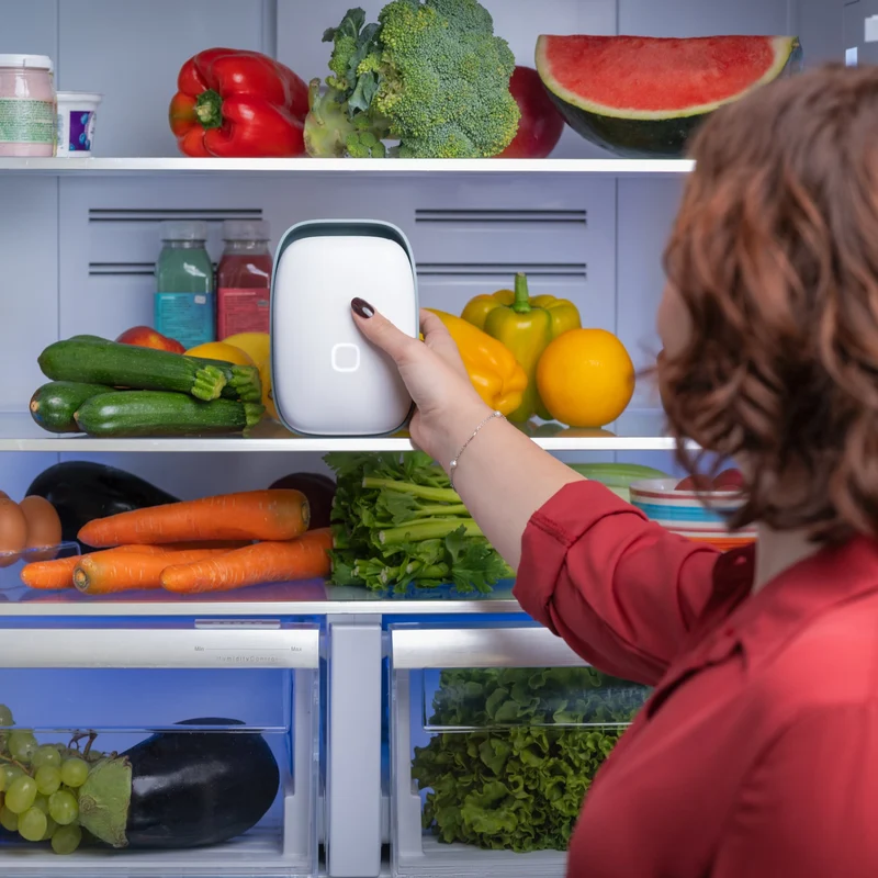 Vitesy Shelfy 2.0 Fridge Air Purifier & Odour Absorber